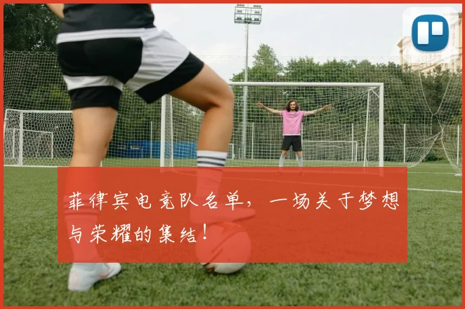 菲律宾电竞队名单，一场关于梦想与荣耀的集结！
